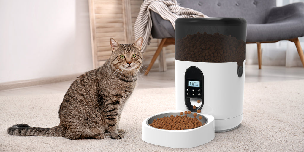 automatic cat feeder