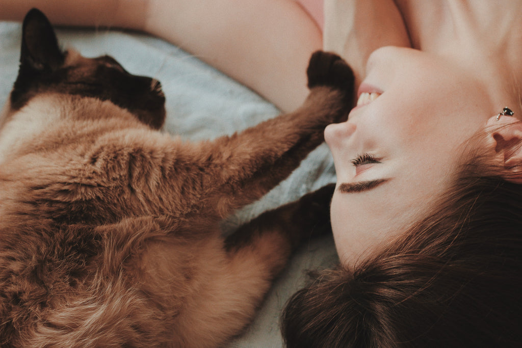 Why Does My Cat Sleep on Me