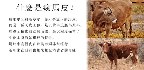 Taiwan Lee Kee Leather Goods Lee Kee Original Handmade Leather Crazy Horse Leather Business Official Document 14-inch Laptop Bag No. 9210 Original Handmade Leather Leather Goods