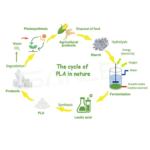 Recyclable Plant based straw