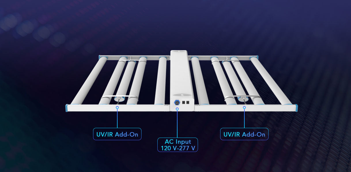 Spectrum Y Wireless Light Wire Interface