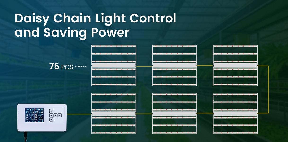 75Pcs Fold 6 light fixtures daisy chain with GLC-1 controller