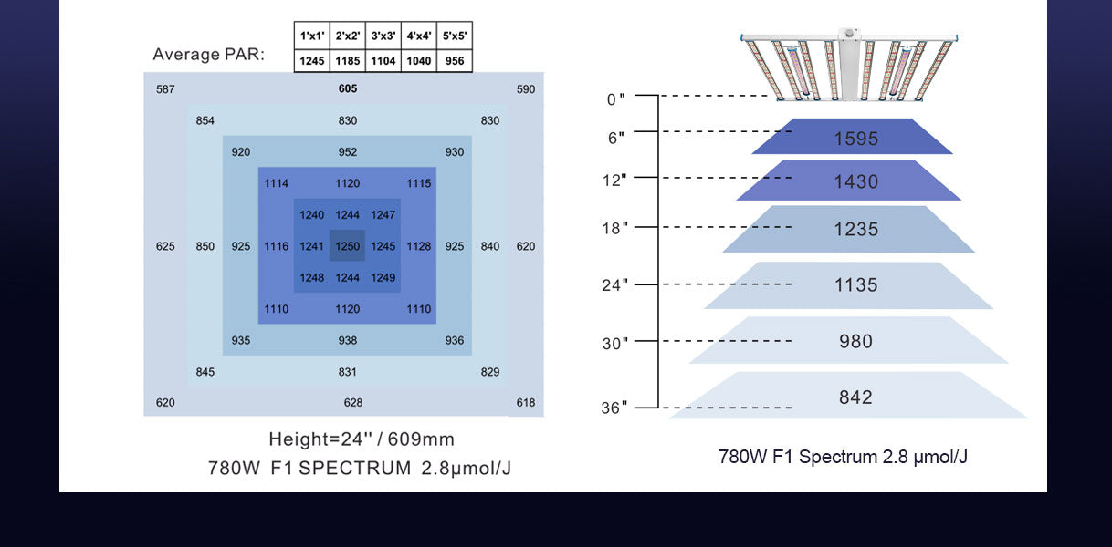 Spectrum Y Wireless PPFD Distribution-2