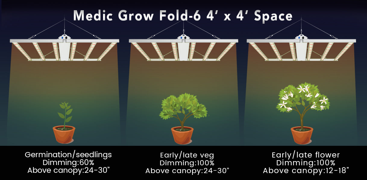 Fold 6 LED grow light growing guide