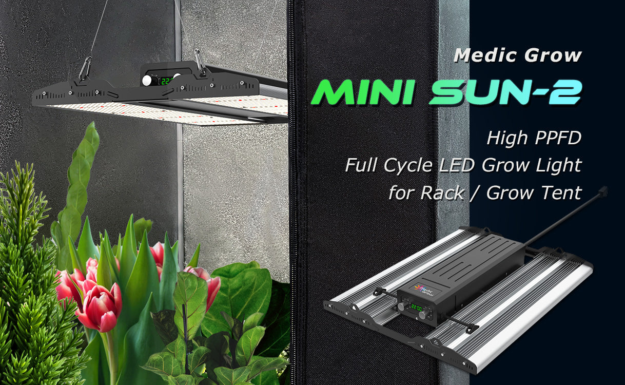 MINI SUN-2 Compact Full Cycle LED Grow Light Application