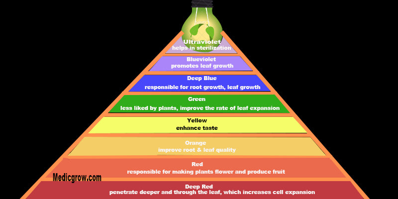 màu sắc khác nhau tác dụng lên cây