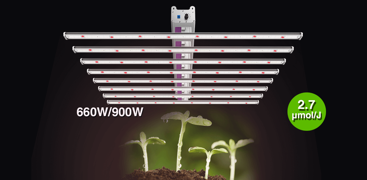 ez 6 full spectrum with high efficacy