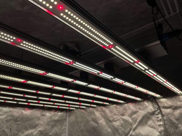 led grow light for indoor growing