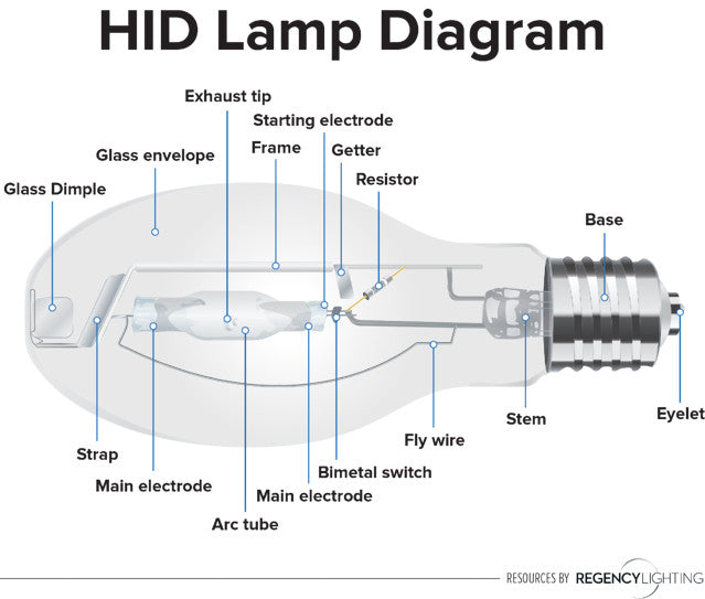 hid lamp design
