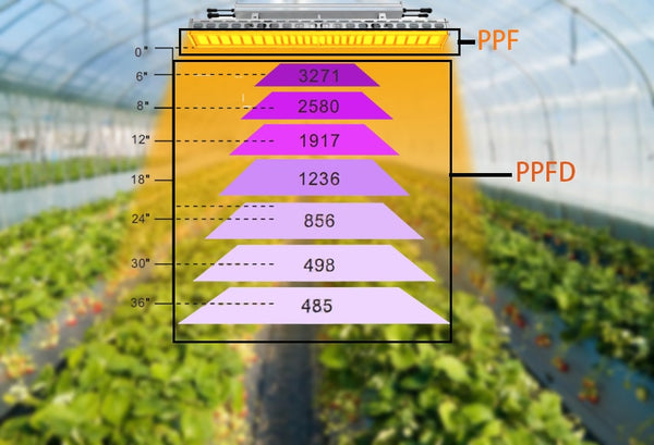 LED grow light PPF and PPFD