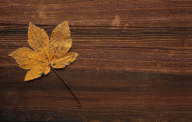 light burn yellowish leaves