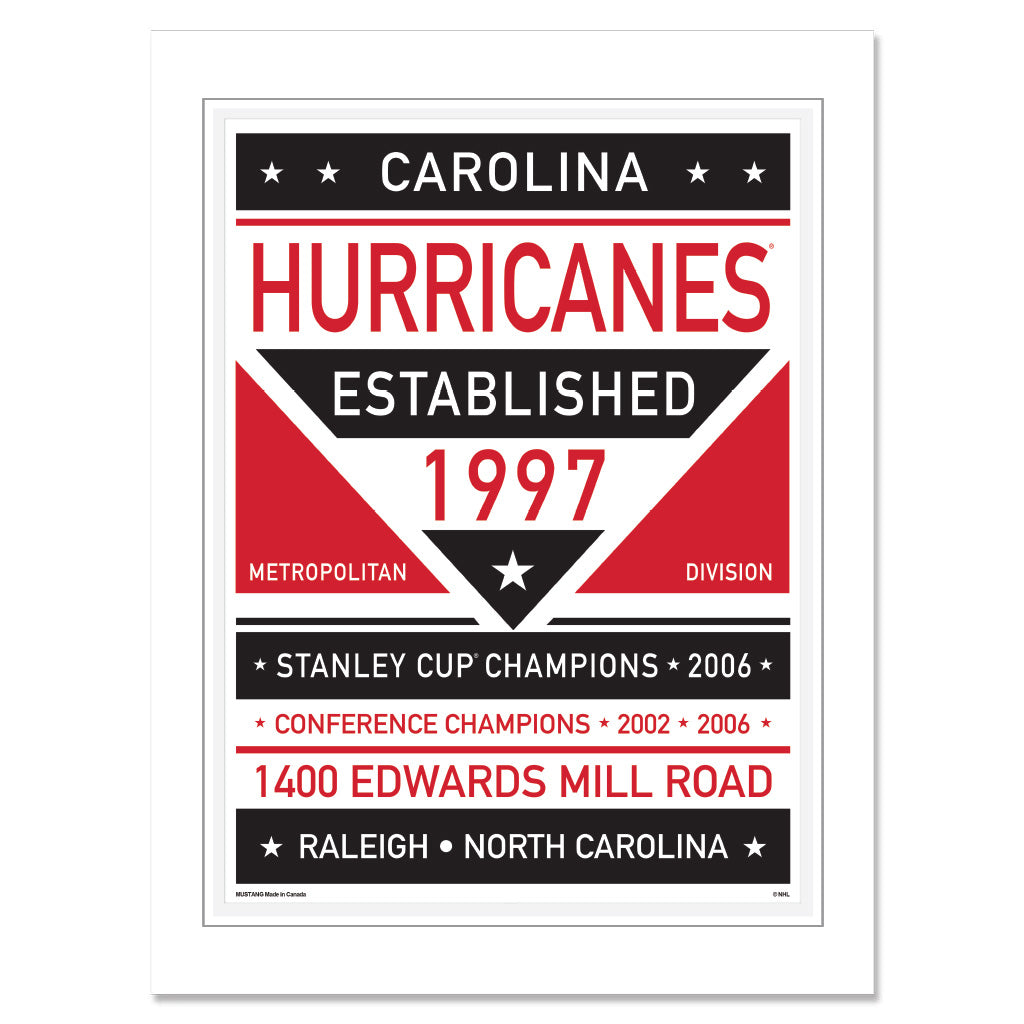 Carolina Hurricanes Print - 12