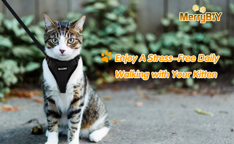 Cat Harnesses and Puppy Harness