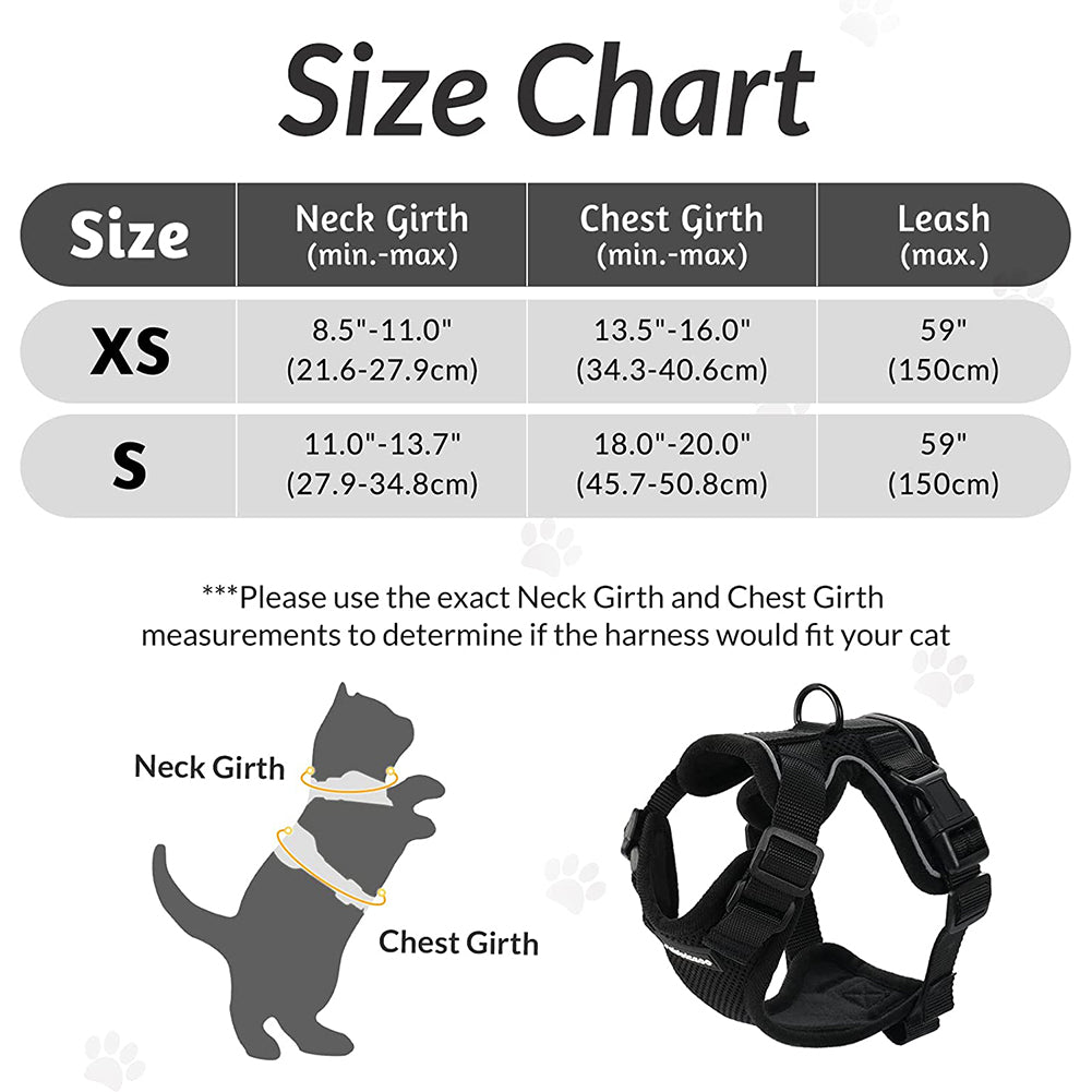 Cat Harness and Leash 01
