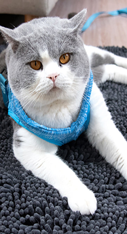 Cat Harness and Leash Set for Walking