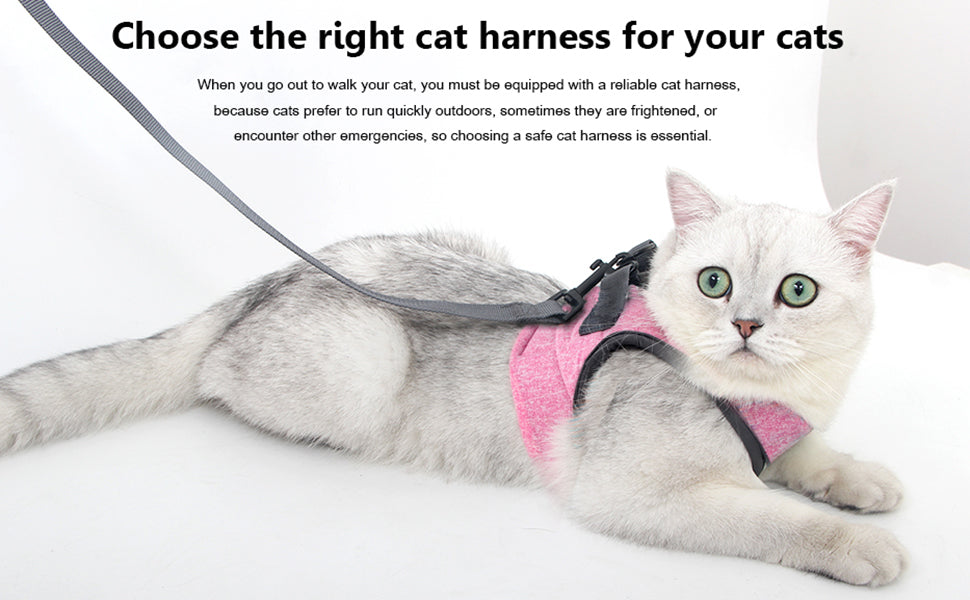 Kitty Harness and Leash
