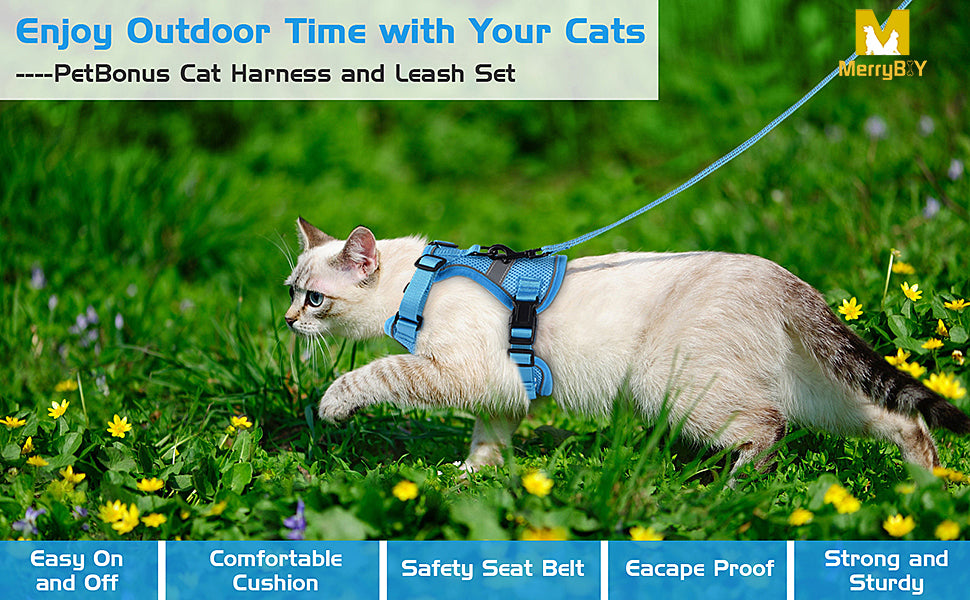 CAT HARNESS 001