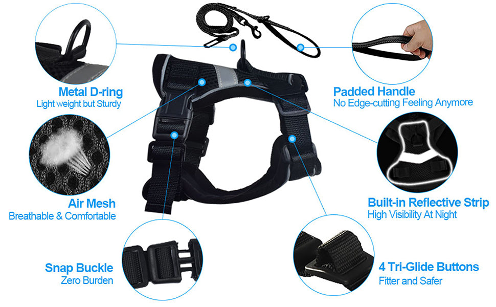 CAT HARNESS 006