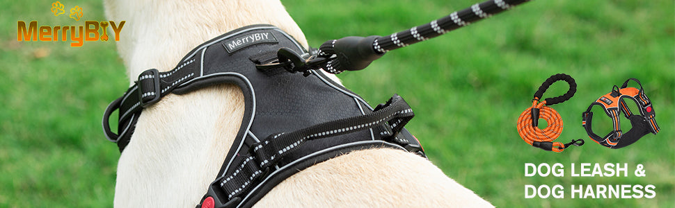 dog harness black 01