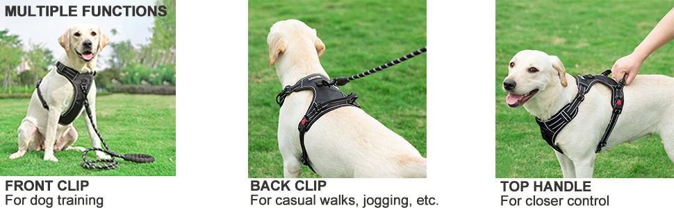 dog vest harness