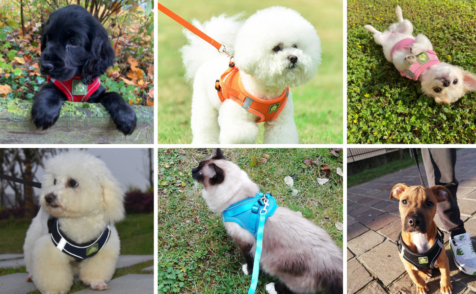 Puppy Cat Dog Vest Harness