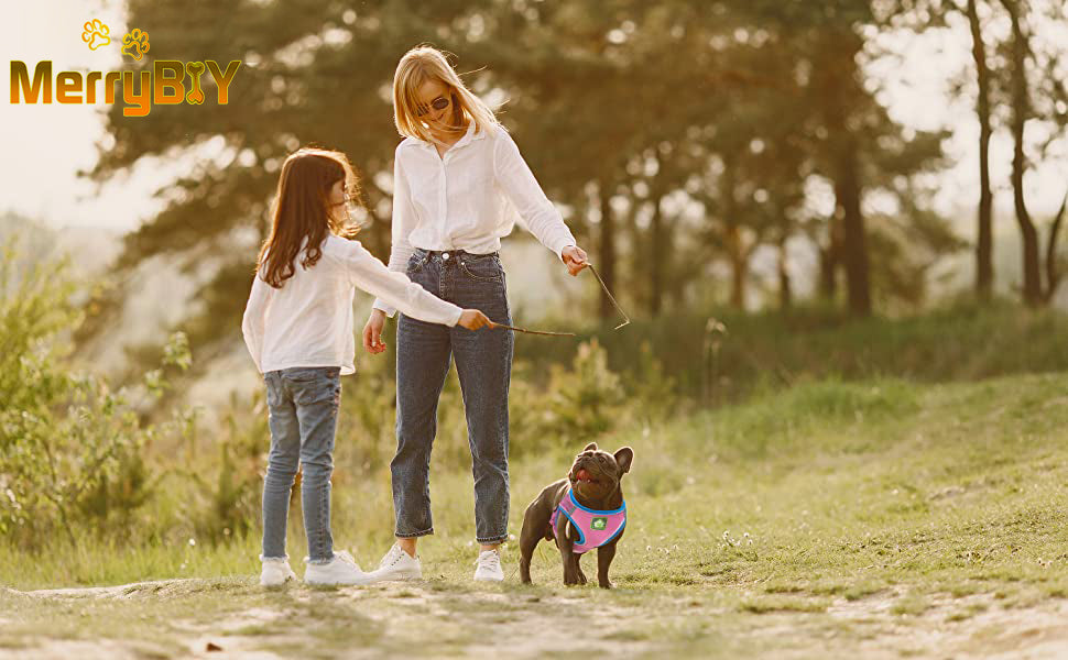 Puppy Harness Dog Harness Small Dog Lead Sets