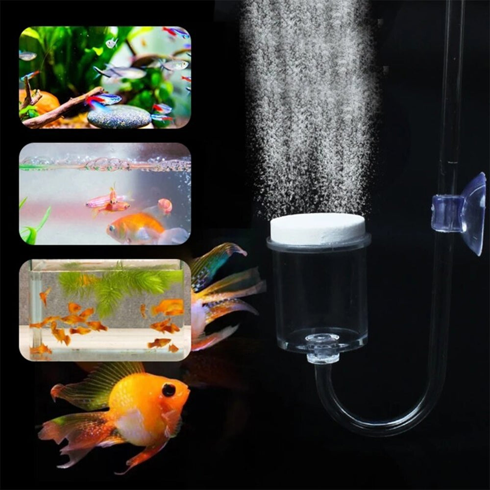 CO2 Diffuser For Aquarium