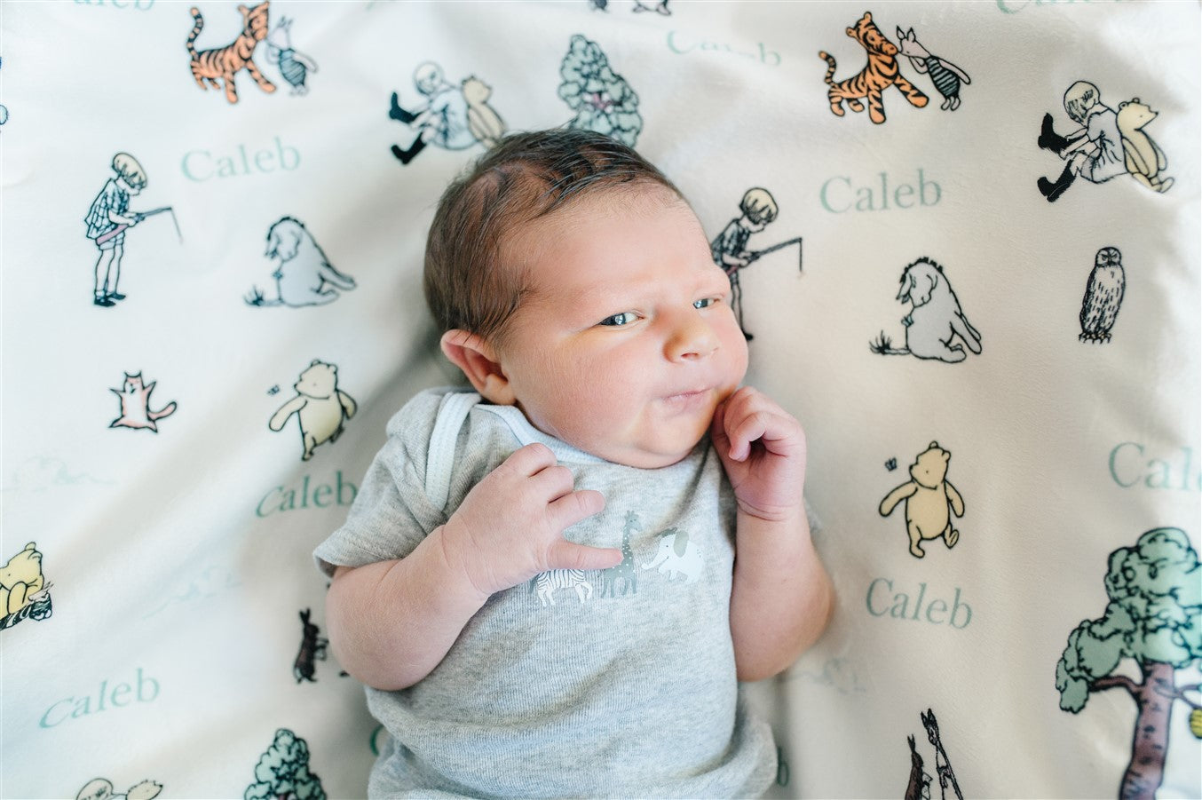 Winnie the Pooh Baby Deluxe Blanket (Boy and Girl Options)