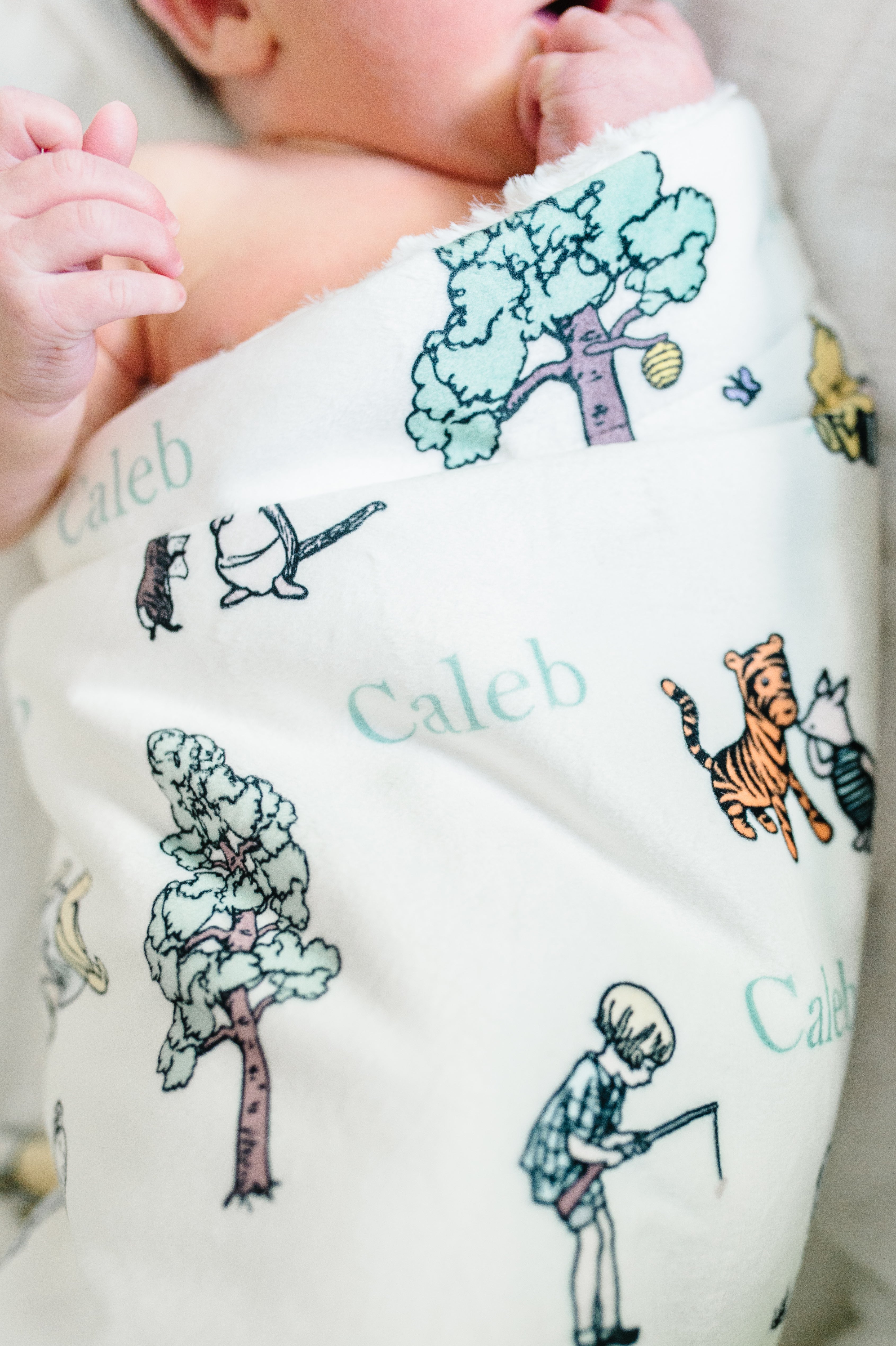 Winnie the Pooh Baby Deluxe Blanket (Boy and Girl Options)