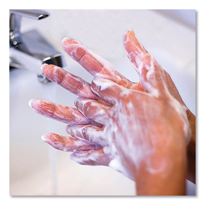 Safeguard? Professional Antibacterial Liquid Hand Soap, Light Scent, 1 gal Bottle, Carton of 2