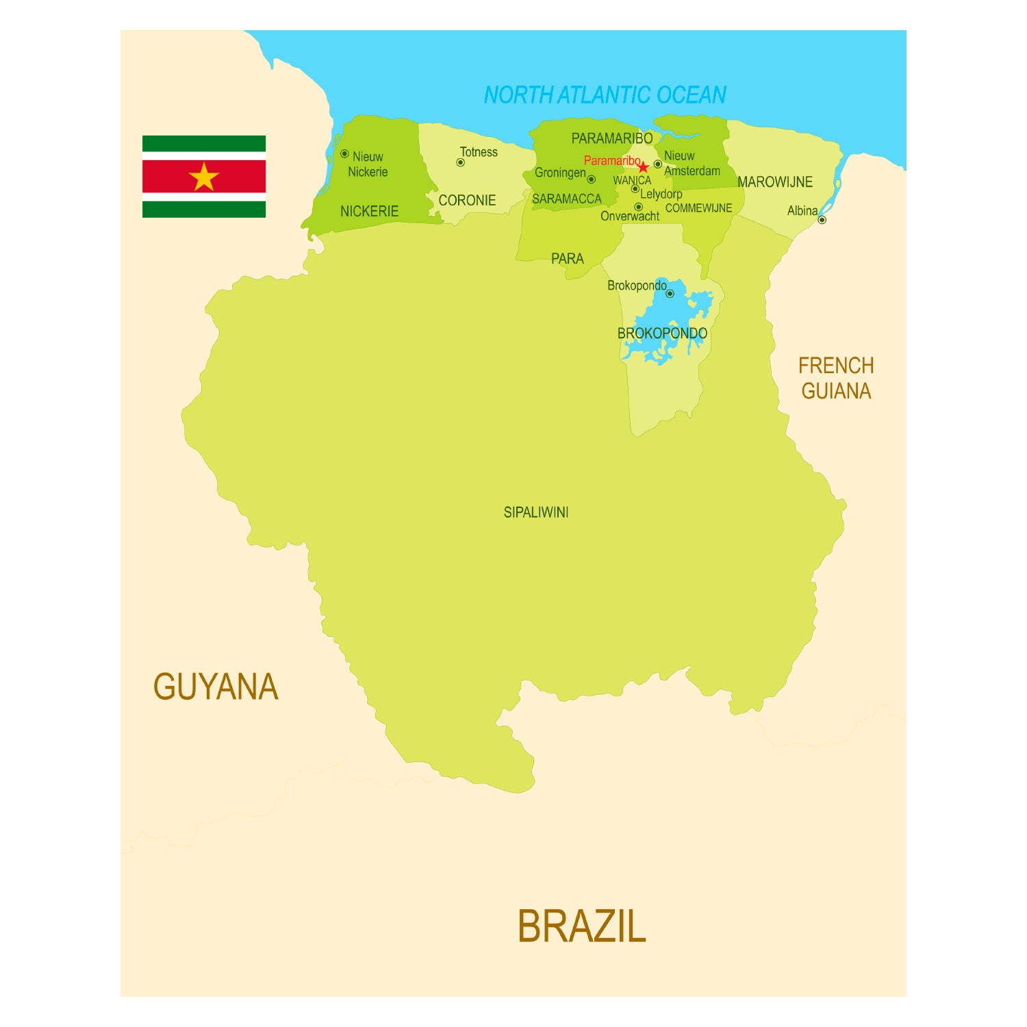 Maps of South America: Suriname Mural        -   Removable     Adhesive Decal