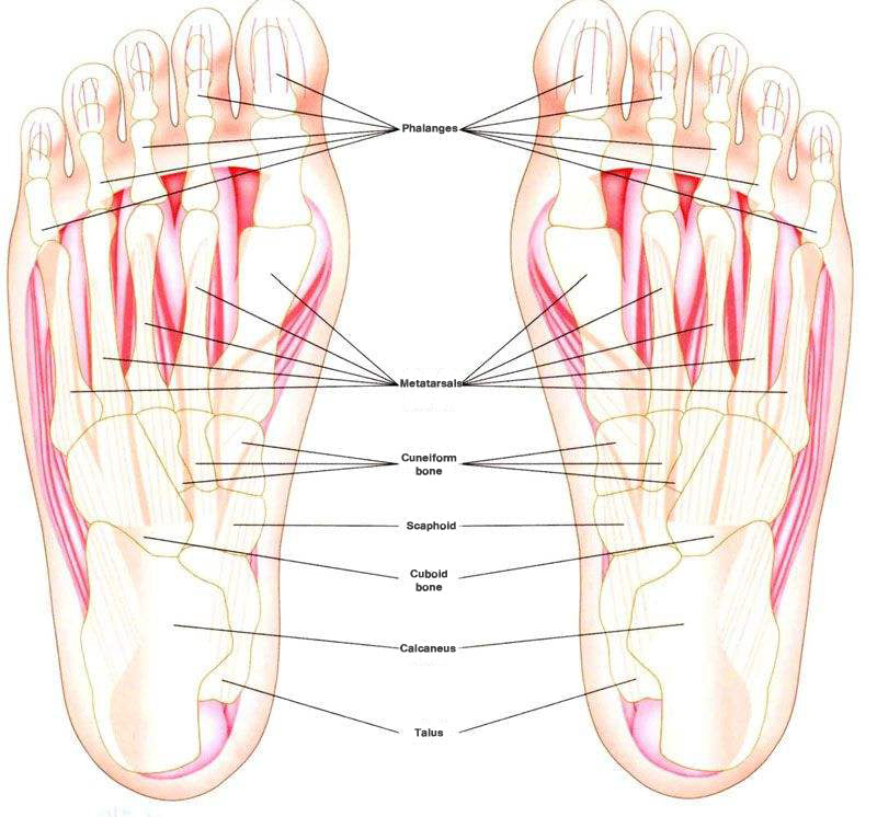 5 types of sports injuries caused by unsuitable bicycle size 3