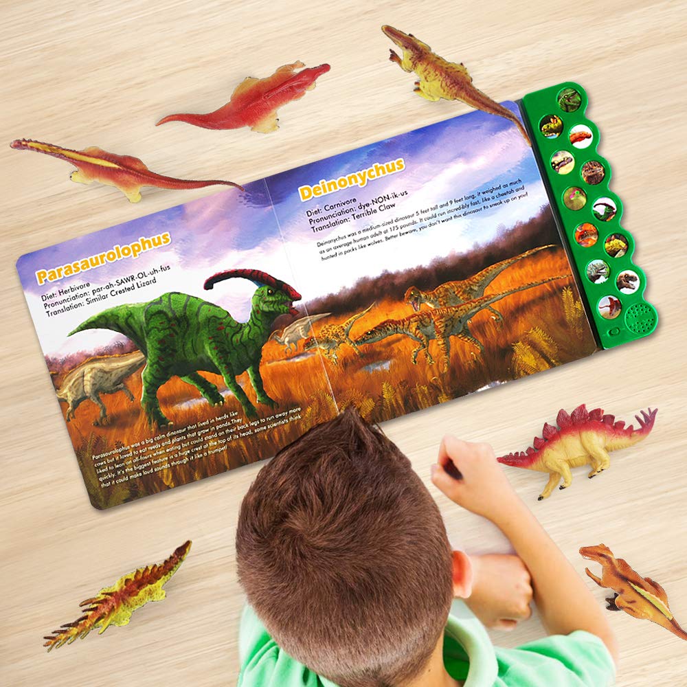 My Dinosaur Playbook