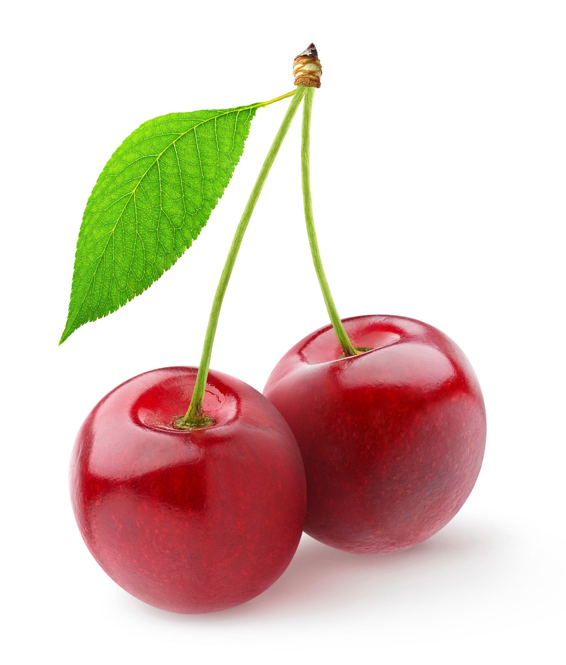 Cherry - Fragrance Oil - 1 oz 2 oz 4 oz