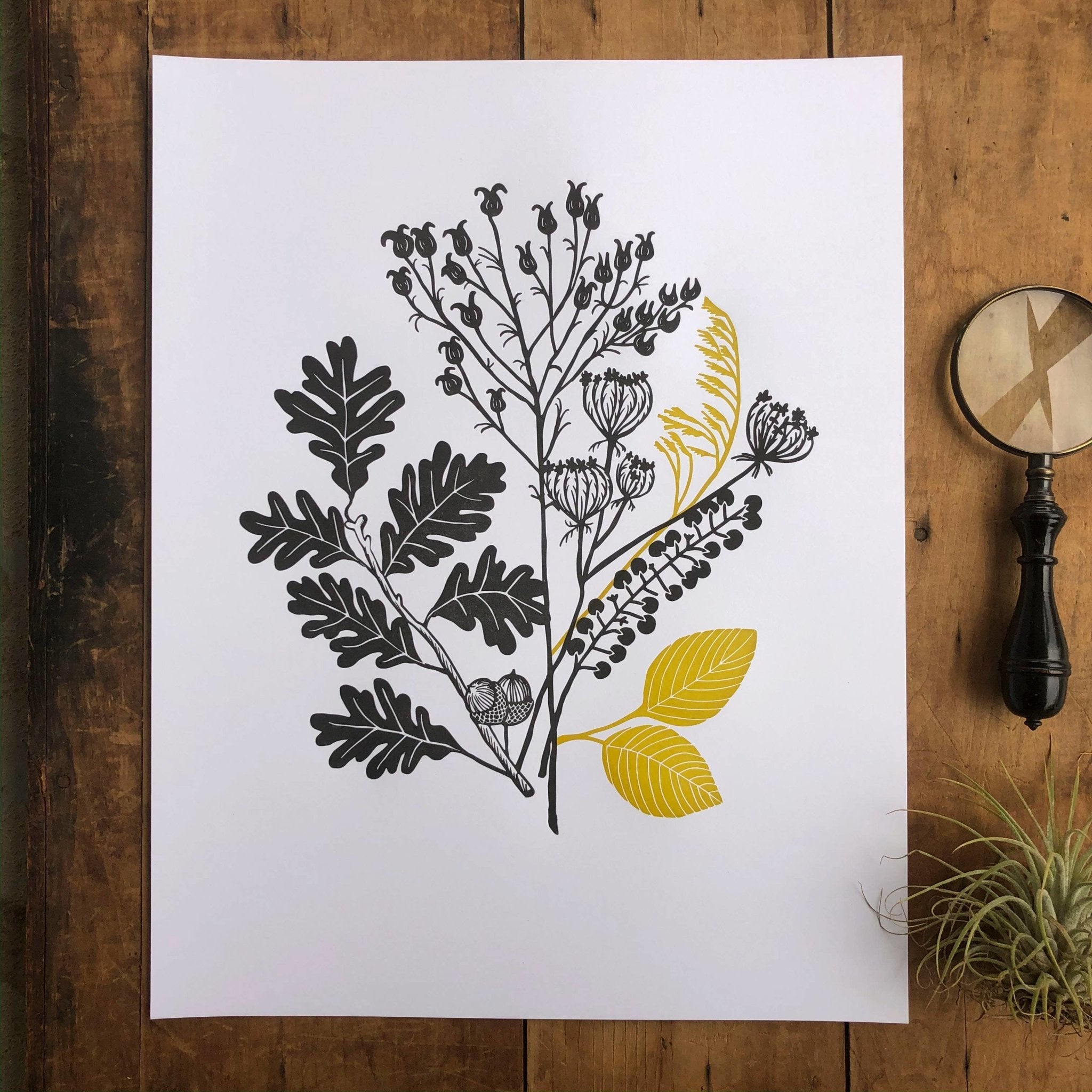 Print - Autumn Plants