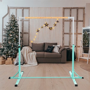 home gym equipment perfect Christmas Gift