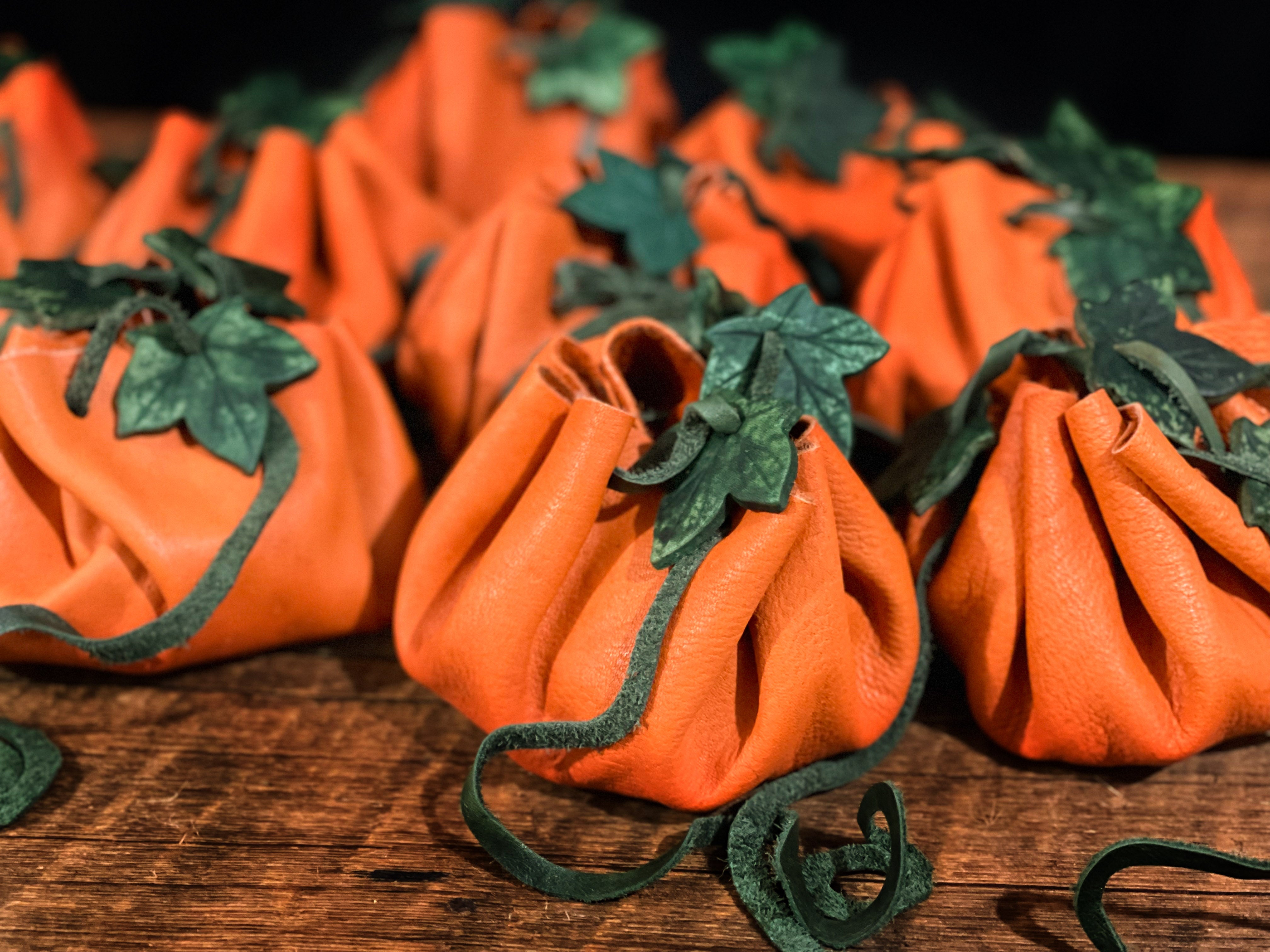 Pumpkin Patch Pouch