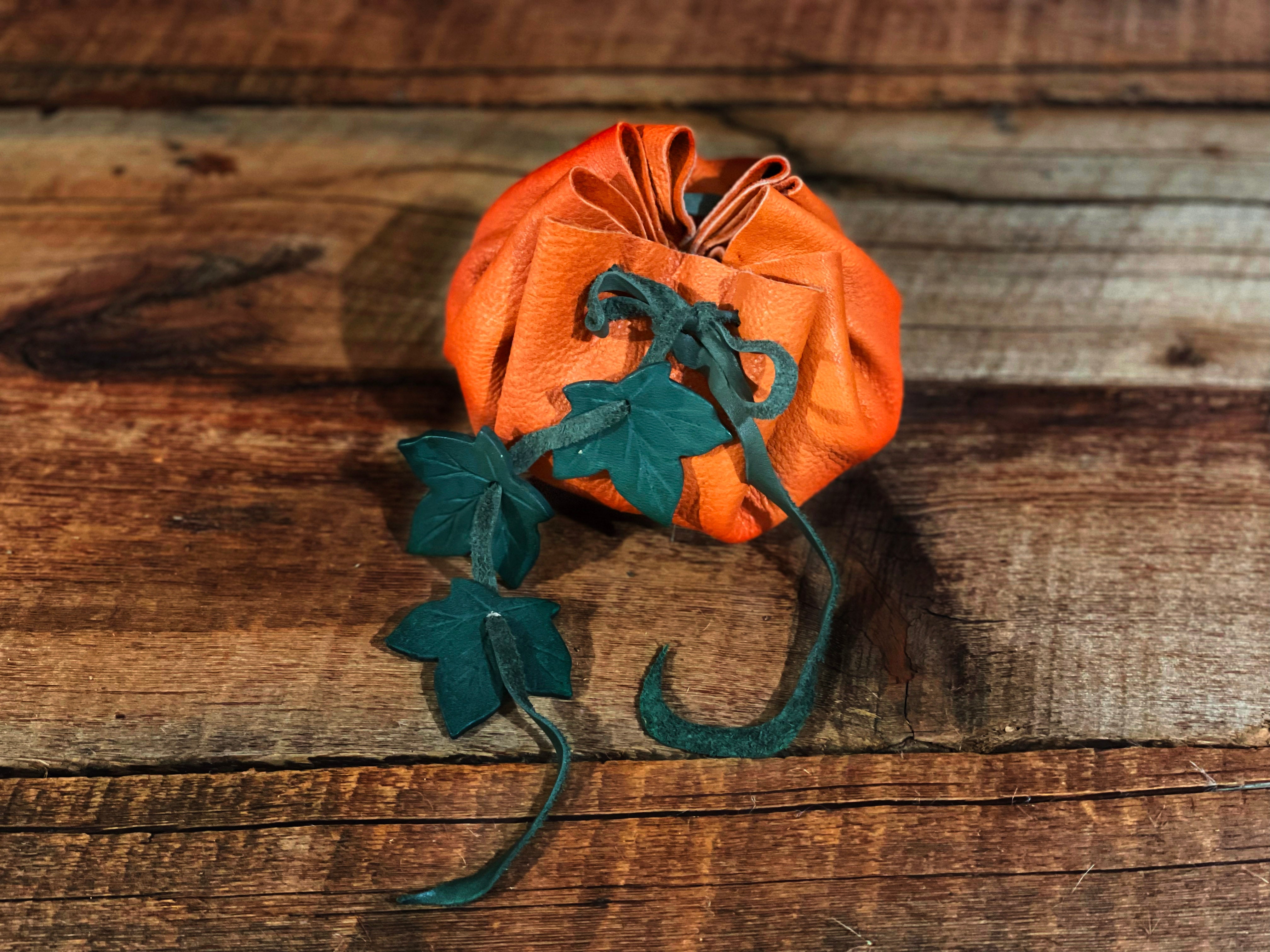 Pumpkin Patch Pouch