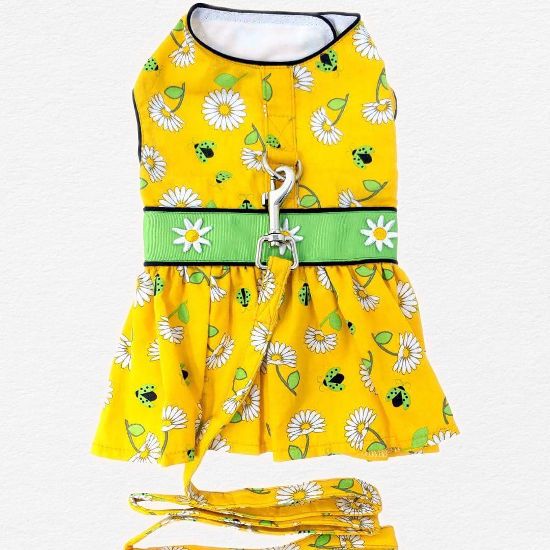 Ladybugs and Daisies Dog Dress with Matching Leash