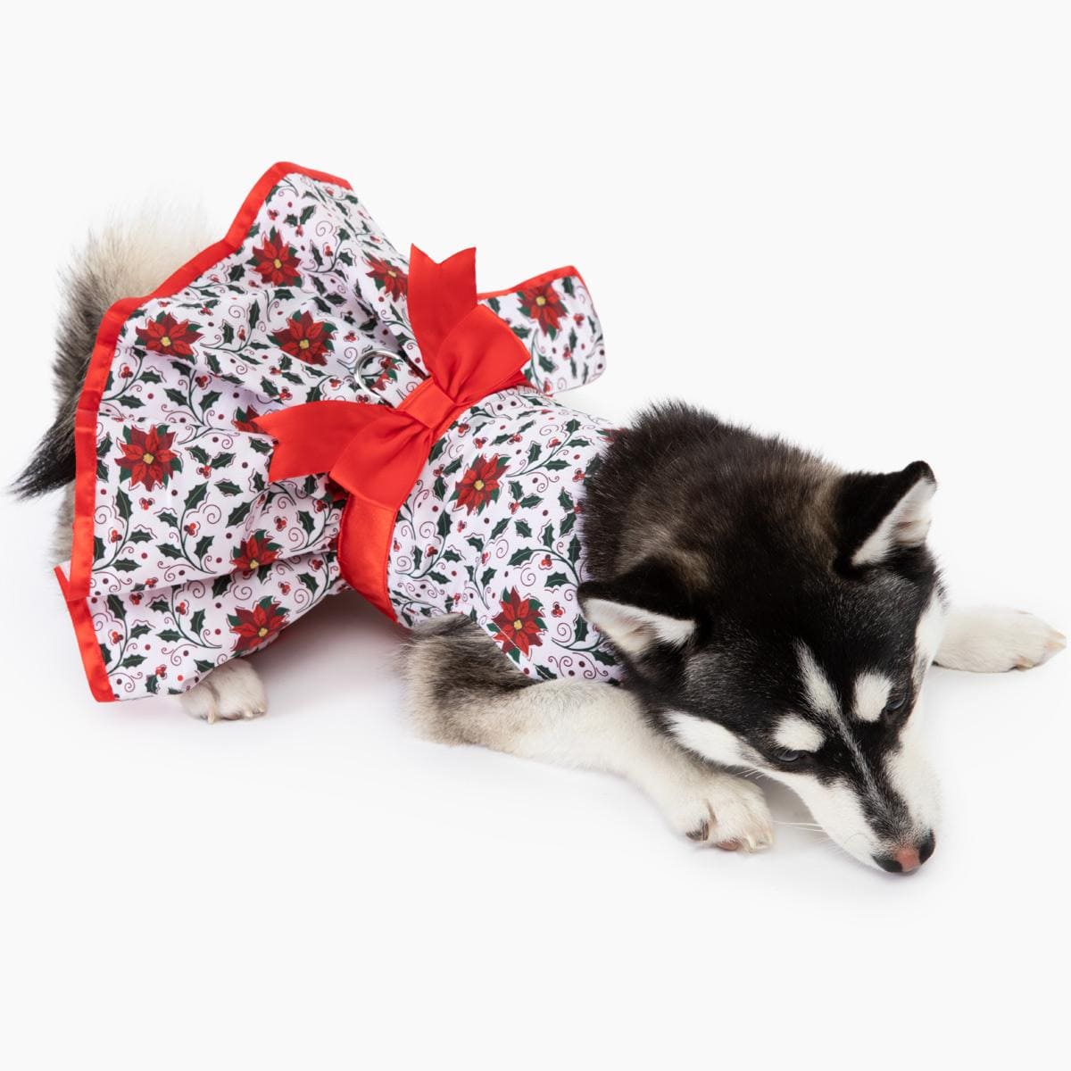 Holiday Poinsettia Dog Dress with Matching Leash