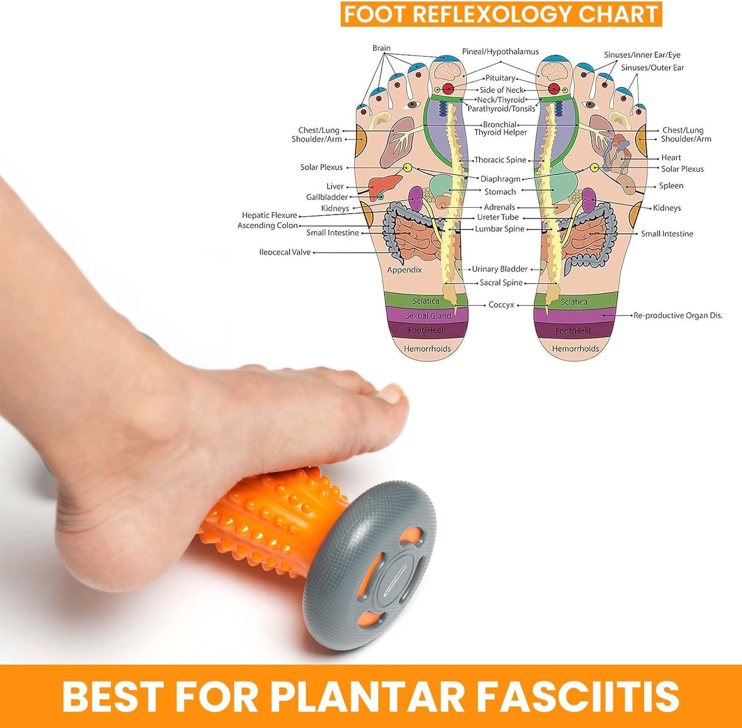 Plantar Fasciitis Relief Foot Massage Roller - Acupressure Therapy for Neuropathy