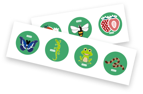 Vego Garden Kids Nonprofit Program Explorer Badge Stickers