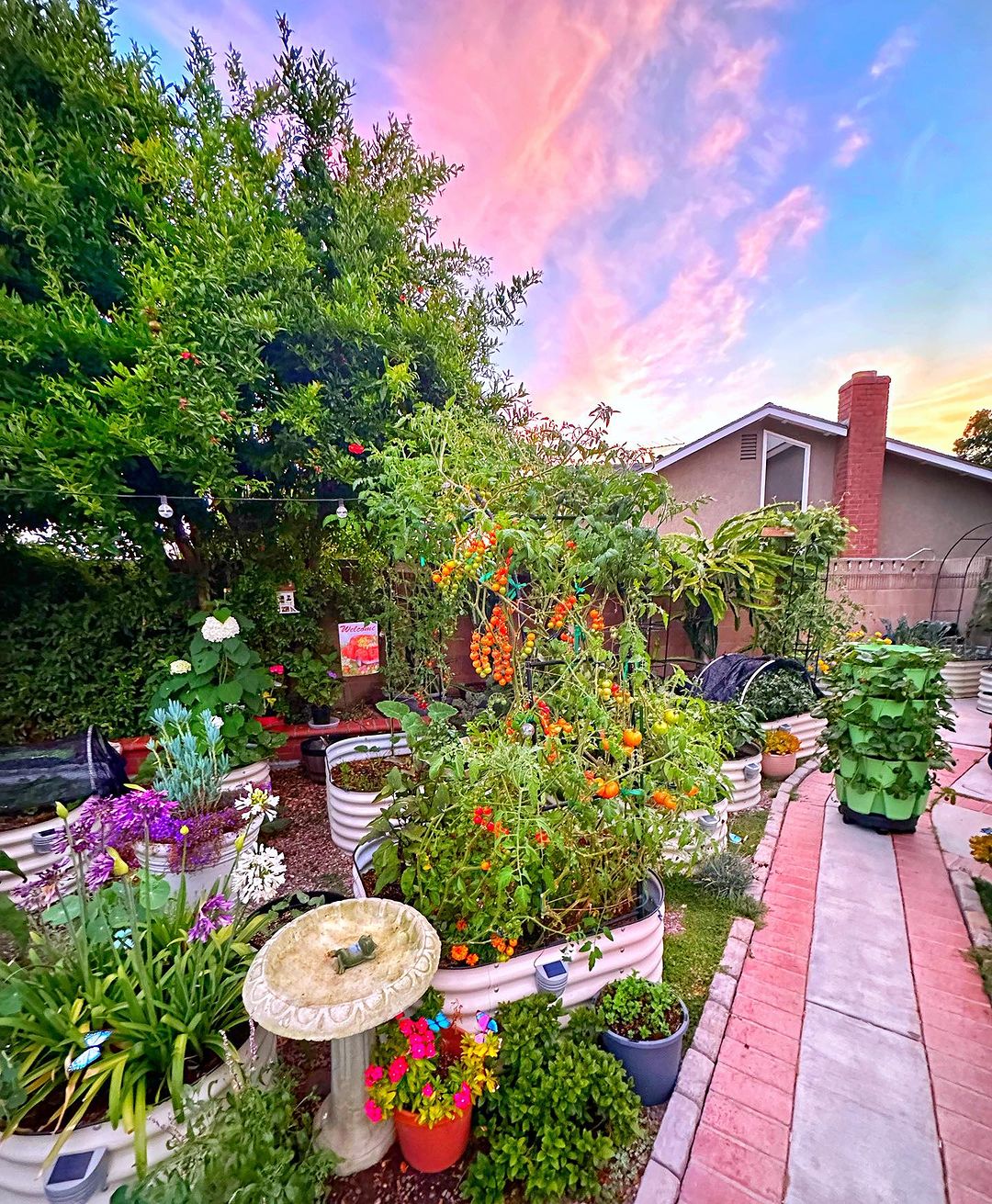 Vego Garden Wholesale