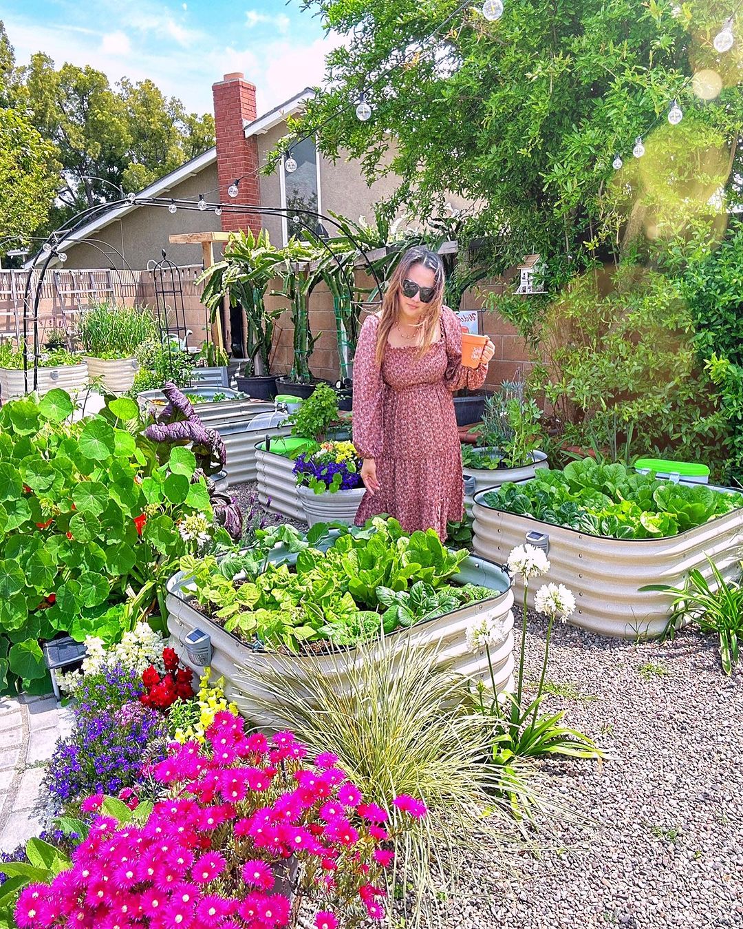 Vego Garden Wholesale