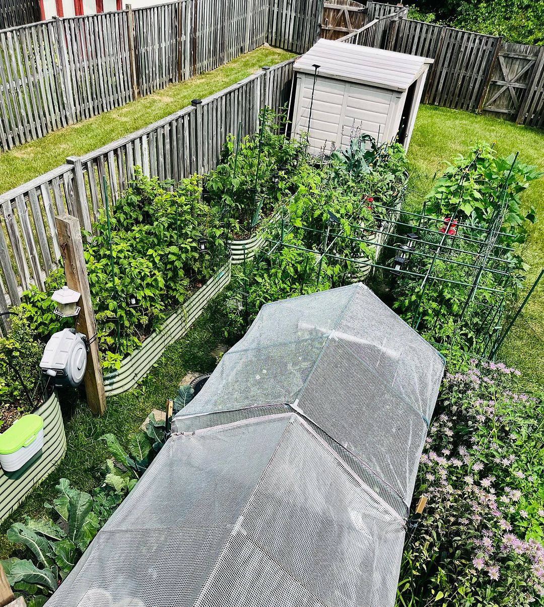 Vego Garden Wholesale