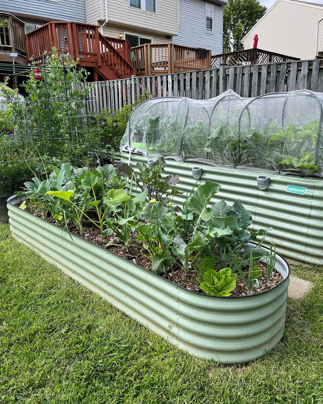 Vego Garden Wholesale