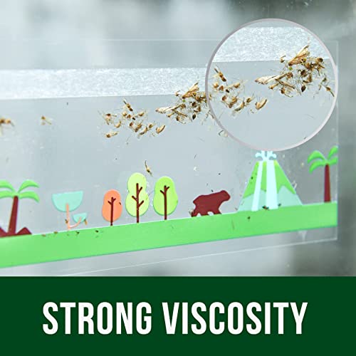 Garsum Window Fly Traps Indoors, Fly Paper Sticky Strips, Non-Toxic Clear Fly Catcher, Fly Killer for Home Window Decal 24 Traps