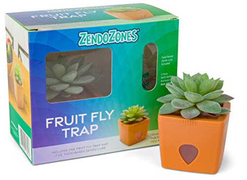 ZendoZones? Fruit Fly Trap Tranquil Tabitha, Terra Cotta Base