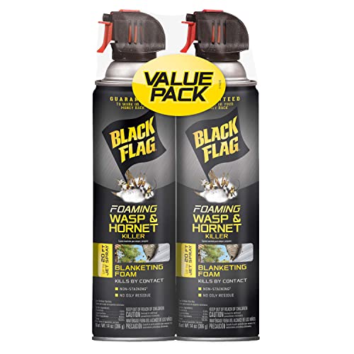 Black Flag Foaming Wasp and Hornet Twin Pack