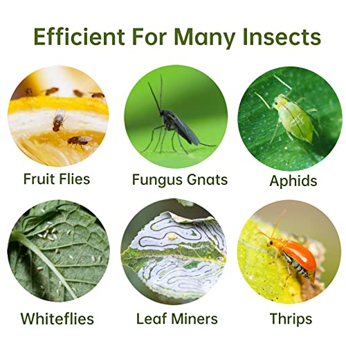 120 Pack Sticky Trap Fruit Fly Killer Indoor, Fungus Gnat Trap for House Plants, Yellow Sticky Traps for Plants Insects Bug